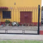 Herreria leon